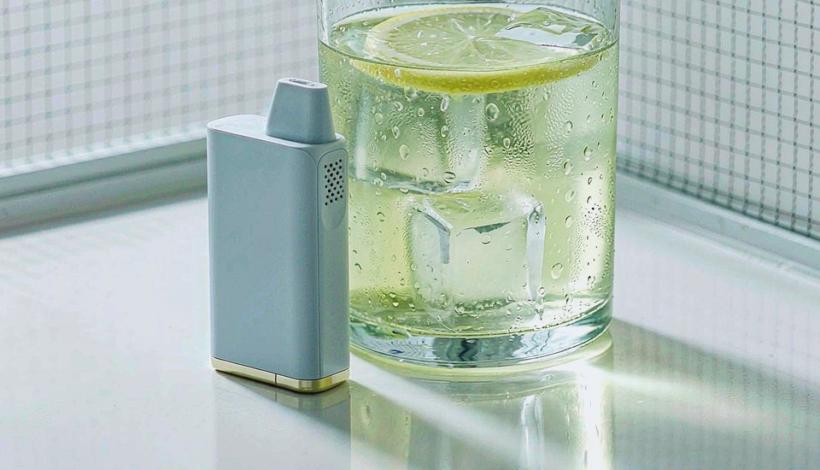 Luxury Upscale Shopping Malls Orders: Merchandising for Retail Chains — Luxury Upscale Vape for High End Shopping Malls Bulk